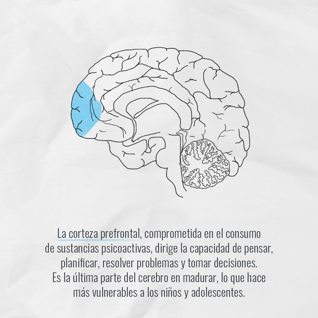 Mutante C Mo Afectan Nuestro Cerebro Las Sustancias Psicoactivas