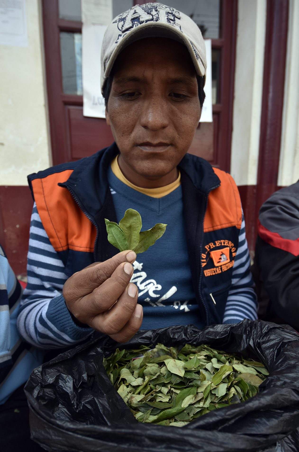MUTANTE Acullico (mascado de hoja de coca)