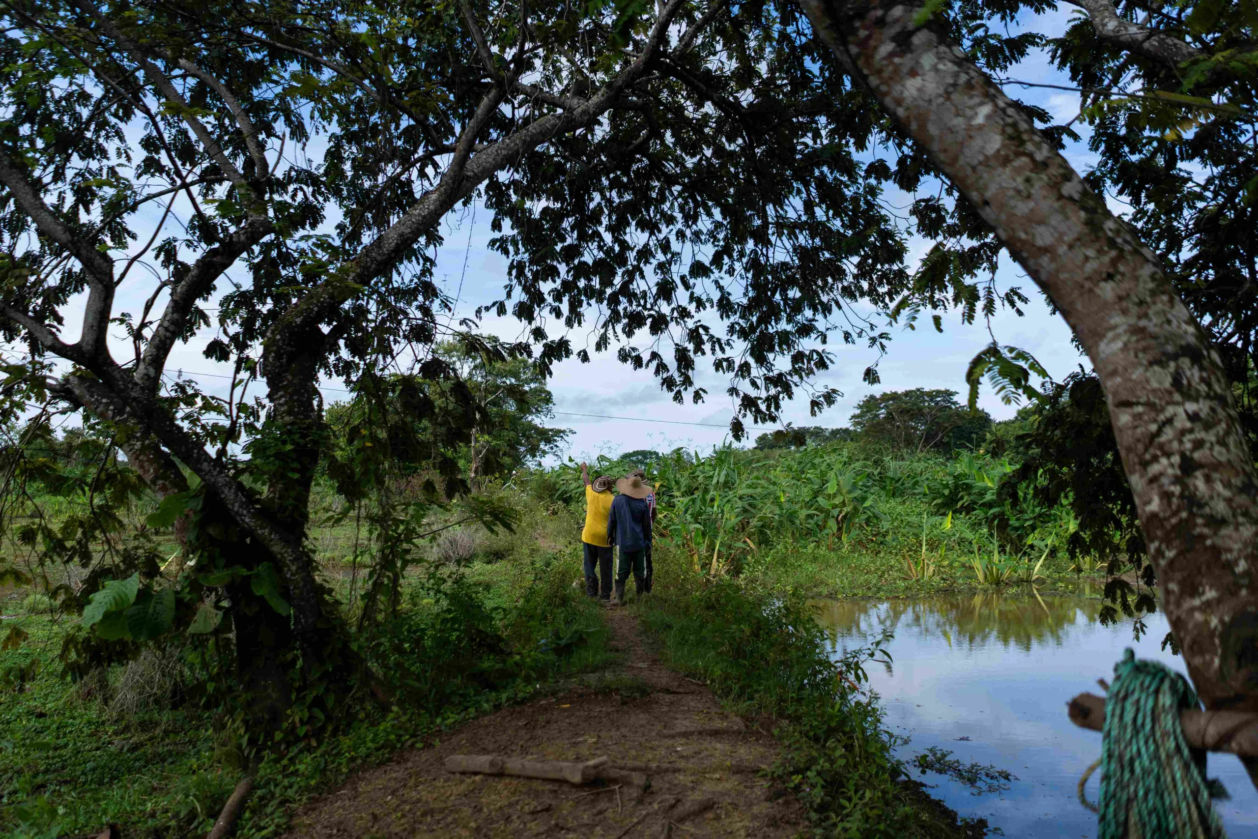 Miguel es de las pocas personas de La Mojana que conoce la historia de las construcciones prehispánicas. 