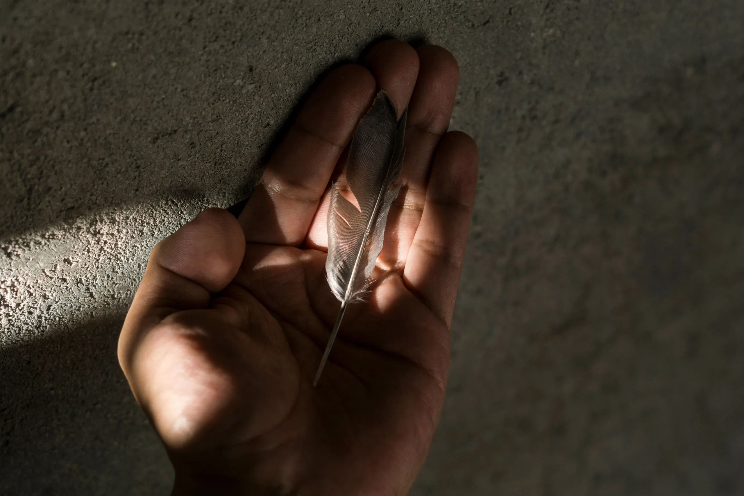 Fotografía sosteniendo una pluma en las manos. Foto: Nicolás Bernal.