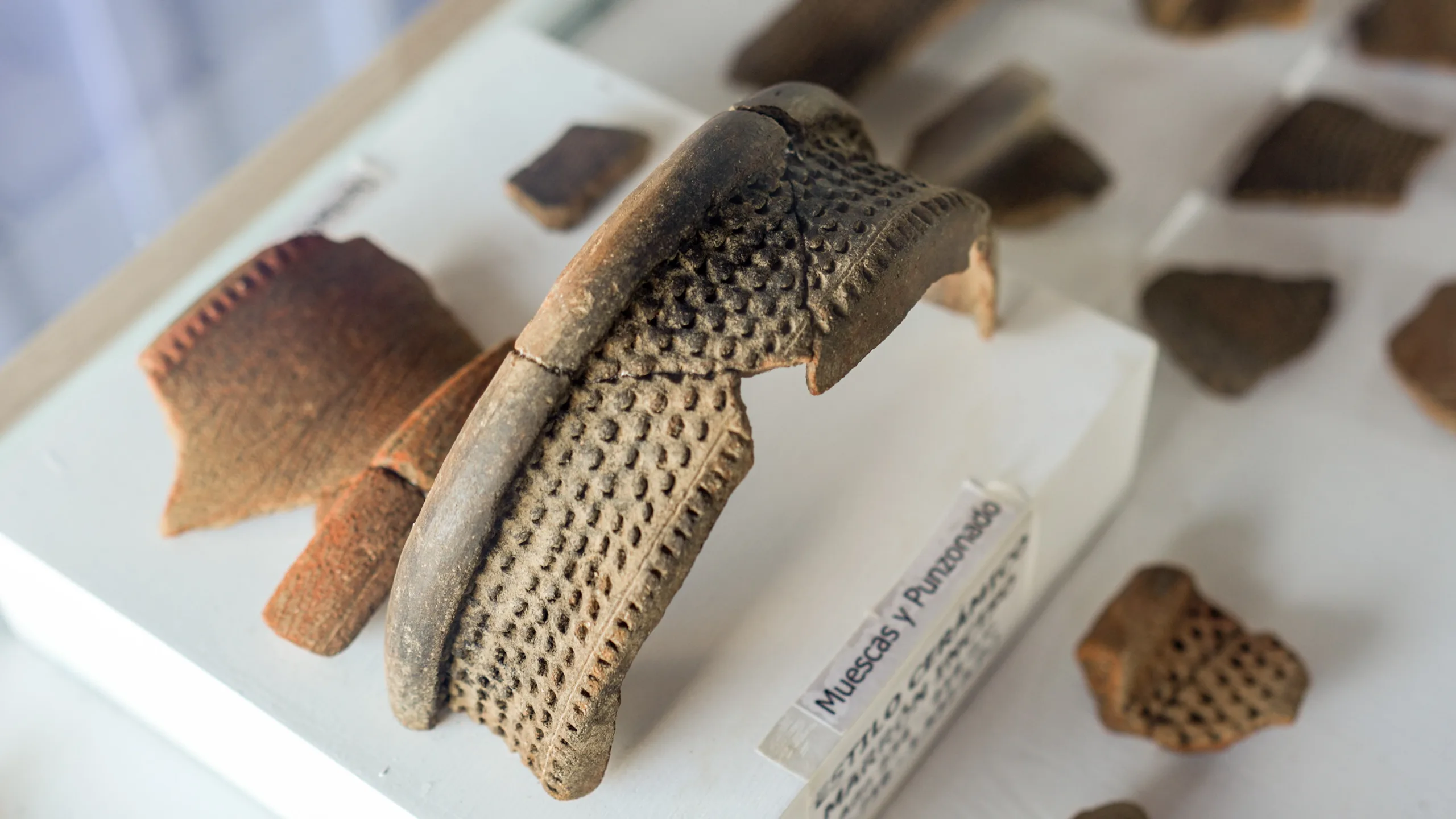 Una de las piezas de cerámica del hallazgo arqueológico que hizo Llor Wili Tamayo en la vereda La Soledad. Hoy está exhibida en la sala de exhibición comunitaria que creó como parte de un proyecto de turismo sostenible en su vereda. Fotografía: Felipe Peláez.