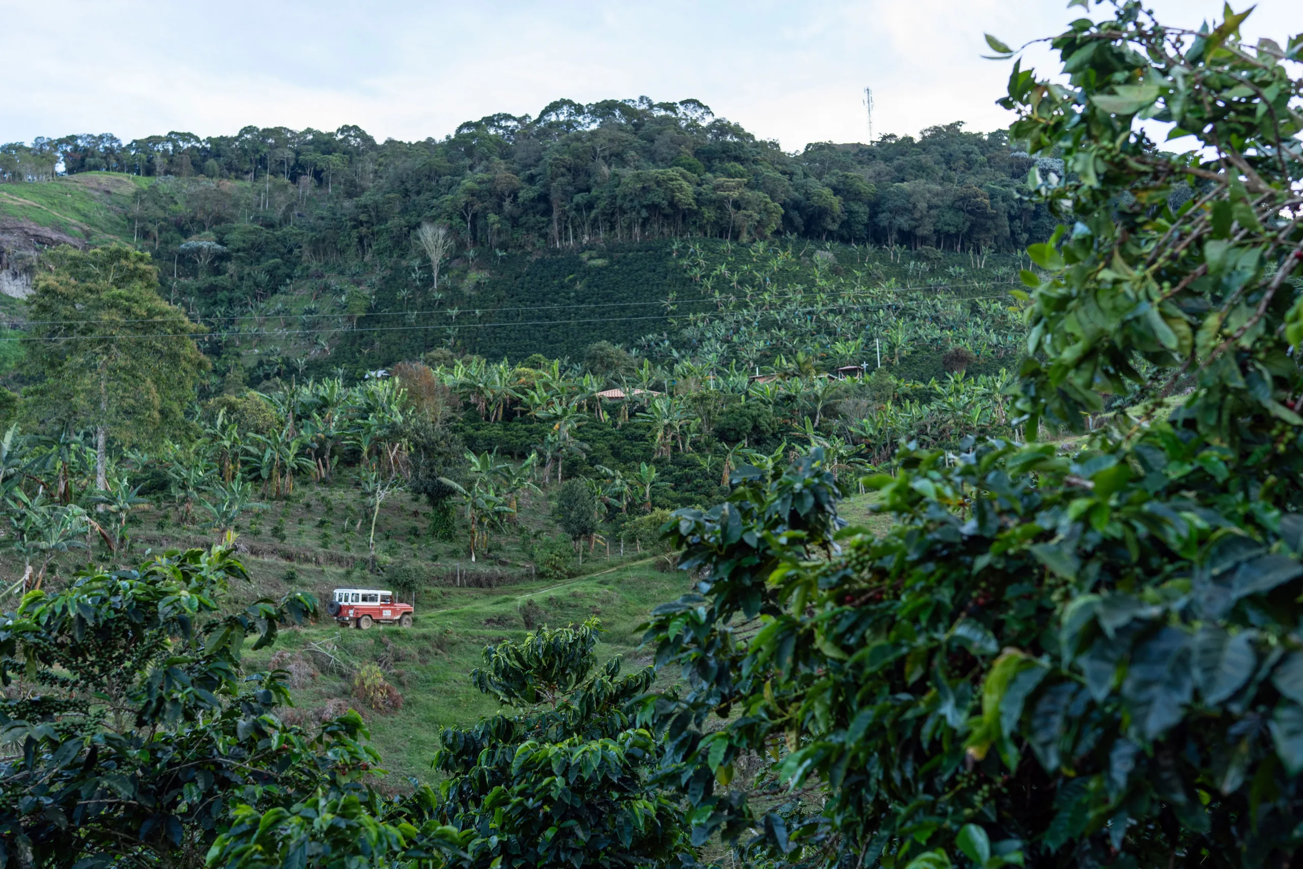 Paisaje agrícola en la vereda La Soledad, en diciembre de 2025. Fotografía: Felipe Peláez.